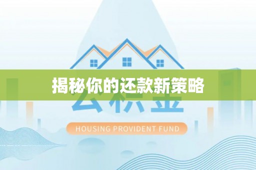 延吉揭秘你的还款新策略